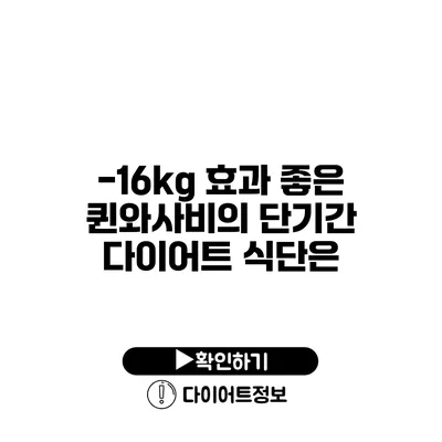 -16kg 효과 좋은 퀸와사비의 단기간 다이어트 식단은?