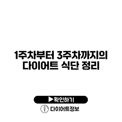 1주차부터 3주차까지의 다이어트 식단 정리