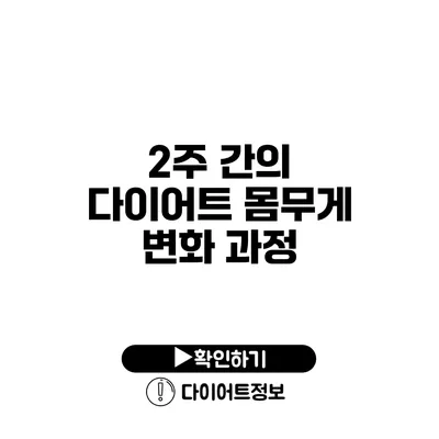 2주 간의 다이어트 몸무게 변화 과정