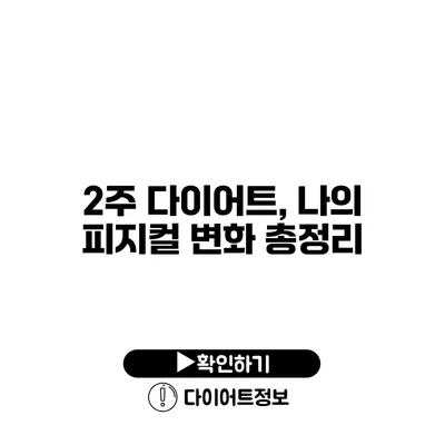 2주 다이어트, 나의 피지컬 변화 총정리