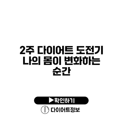 2주 다이어트 도전기 나의 몸이 변화하는 순간