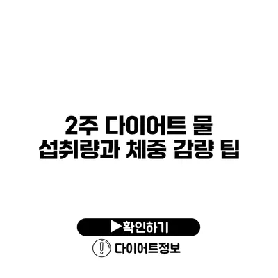 2주 다이어트 물 섭취량과 체중 감량 팁