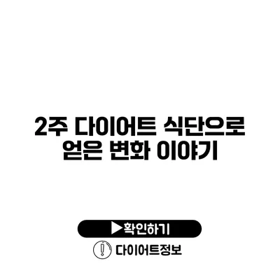 2주 다이어트 식단으로 얻은 변화 이야기