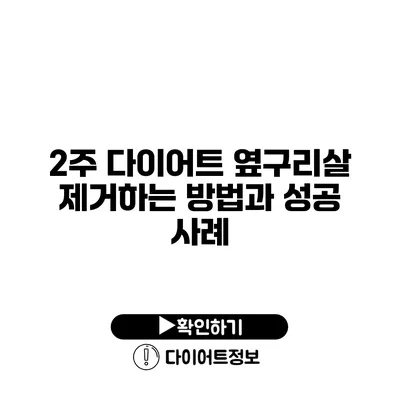 2주 다이어트 옆구리살 제거하는 방법과 성공 사례