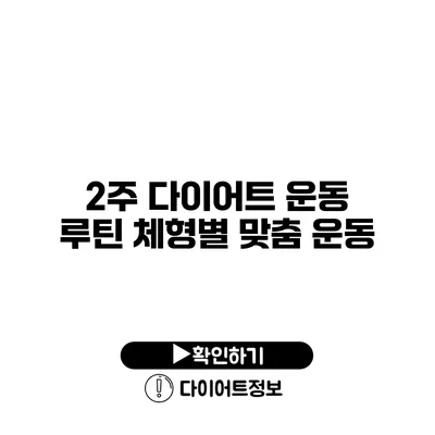 2주 다이어트 운동 루틴 체형별 맞춤 운동