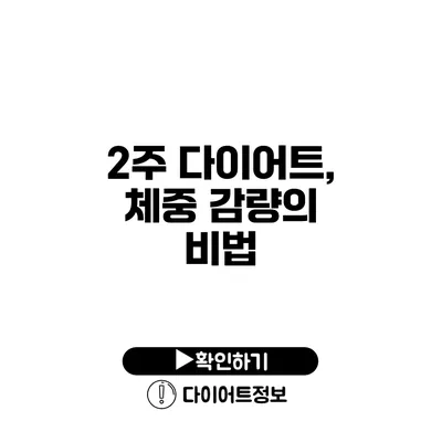 2주 다이어트, 체중 감량의 비법