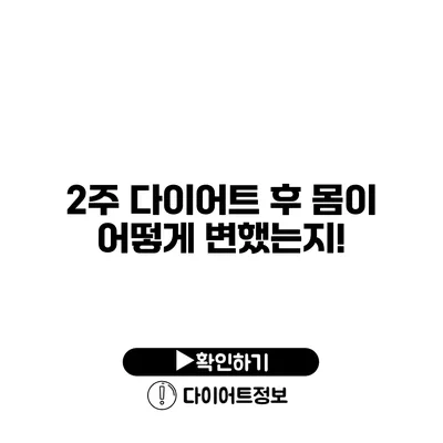 2주 다이어트 후 몸이 어떻게 변했는지!