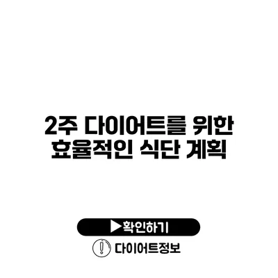 2주 다이어트를 위한 효율적인 식단 계획