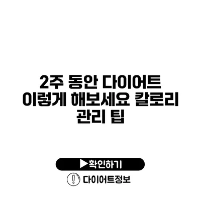 2주 동안 다이어트 이렇게 해보세요 칼로리 관리 팁