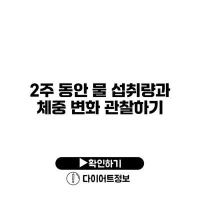 2주 동안 물 섭취량과 체중 변화 관찰하기