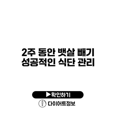 2주 동안 뱃살 빼기 성공적인 식단 관리