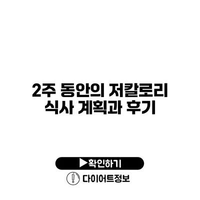 2주 동안의 저칼로리 식사 계획과 후기