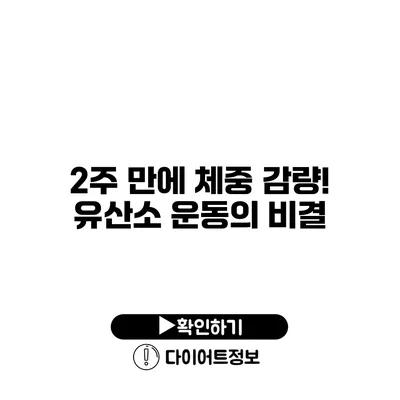 2주 만에 체중 감량! 유산소 운동의 비결