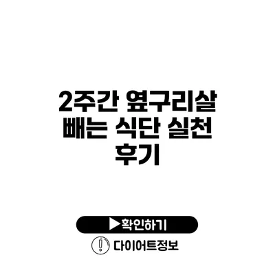 2주간 옆구리살 빼는 식단 실천 후기