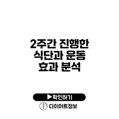 2주간 진행한 식단과 운동 효과 분석