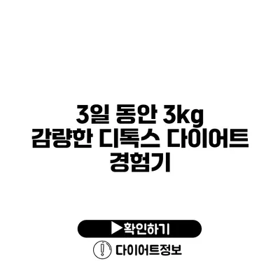 3일 동안 3kg 감량한 디톡스 다이어트 경험기