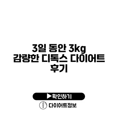 3일 동안 3kg 감량한 디톡스 다이어트 후기