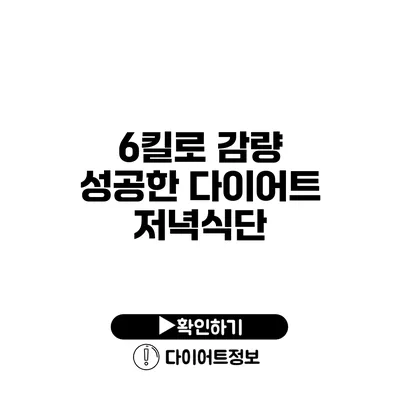 6킬로 감량 성공한 다이어트 저녁식단