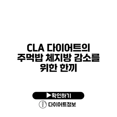 CLA 다이어트의 주먹밥 체지방 감소를 위한 한끼