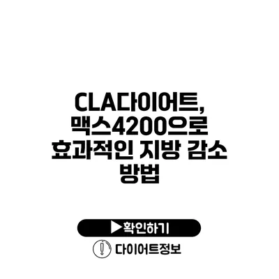 CLA다이어트, 맥스4200으로 효과적인 지방 감소 방법