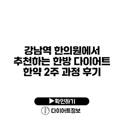 강남역 한의원에서 추천하는 한방 다이어트 한약 2주 과정 후기