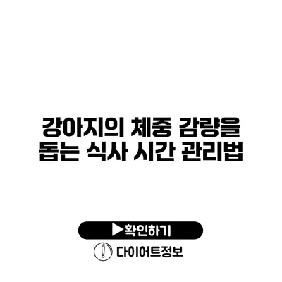 강아지의 체중 감량을 돕는 식사 시간 관리법