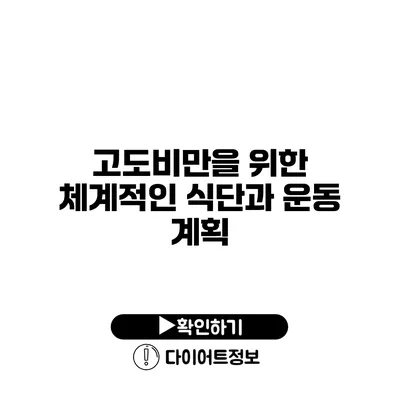 고도비만을 위한 체계적인 식단과 운동 계획