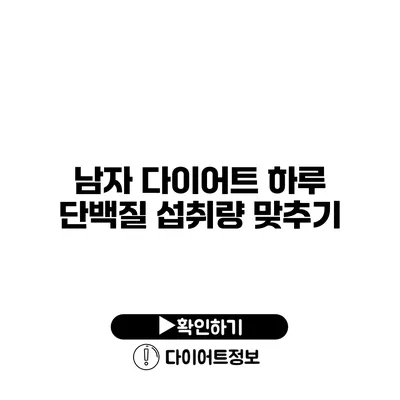 남자 다이어트 하루 단백질 섭취량 맞추기