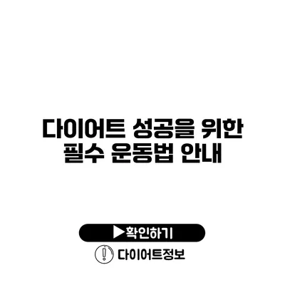 다이어트 성공을 위한 필수 운동법 안내