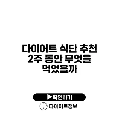 다이어트 식단 추천 2주 동안 무엇을 먹었을까?