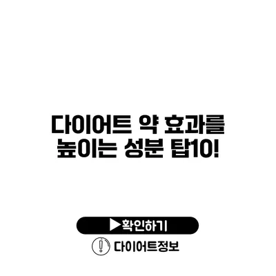 다이어트 약 효과를 높이는 성분 탑10!