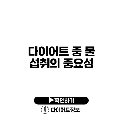 다이어트 중 물 섭취의 중요성