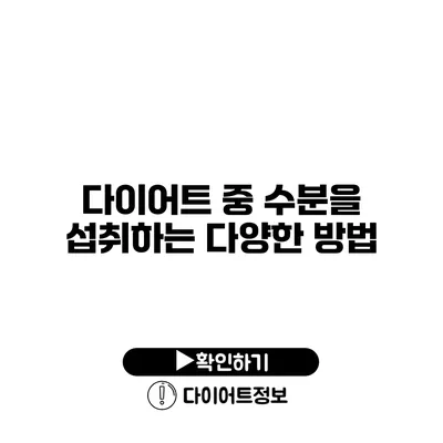 다이어트 중 수분을 섭취하는 다양한 방법