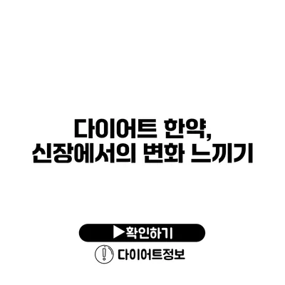 다이어트 한약, 신장에서의 변화 느끼기