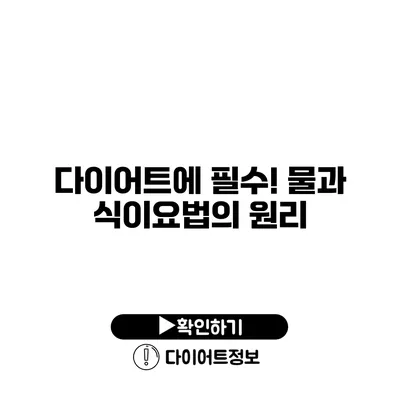 다이어트에 필수! 물과 식이요법의 원리