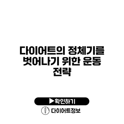 다이어트의 정체기를 벗어나기 위한 운동 전략