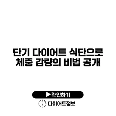 단기 다이어트 식단으로 체중 감량의 비법 공개