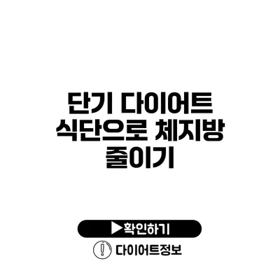 단기 다이어트 식단으로 체지방 줄이기