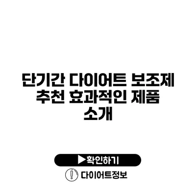 단기간 다이어트 보조제 추천 효과적인 제품 소개