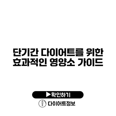 단기간 다이어트를 위한 효과적인 영양소 가이드