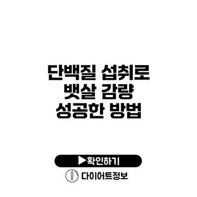 단백질 섭취로 뱃살 감량 성공한 방법