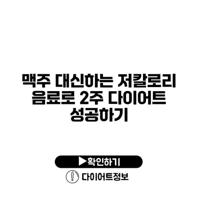 맥주 대신하는 저칼로리 음료로 2주 다이어트 성공하기