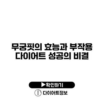 무궁핏의 효능과 부작용 다이어트 성공의 비결