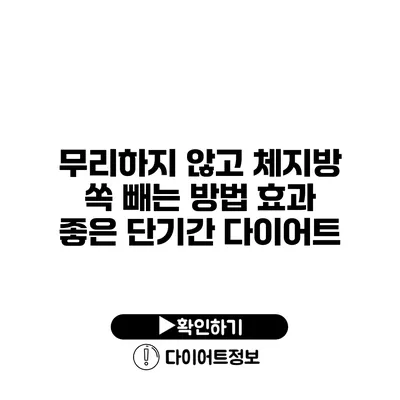 무리하지 않고 체지방 쏙 빼는 방법 효과 좋은 단기간 다이어트