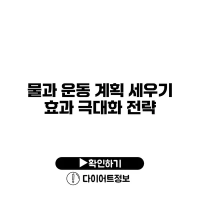 물과 운동 계획 세우기 효과 극대화 전략