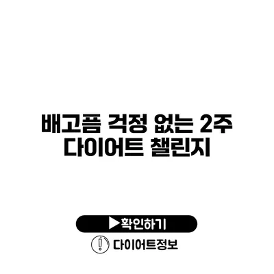 배고픔 걱정 없는 2주 다이어트 챌린지