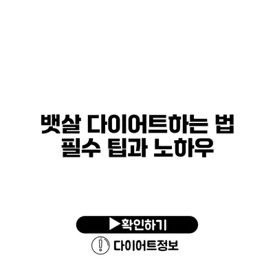 뱃살 다이어트하는 법 필수 팁과 노하우