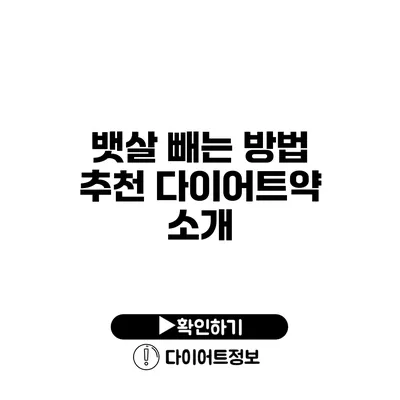 뱃살 빼는 방법 추천 다이어트약 소개