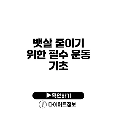 뱃살 줄이기 위한 필수 운동 기초