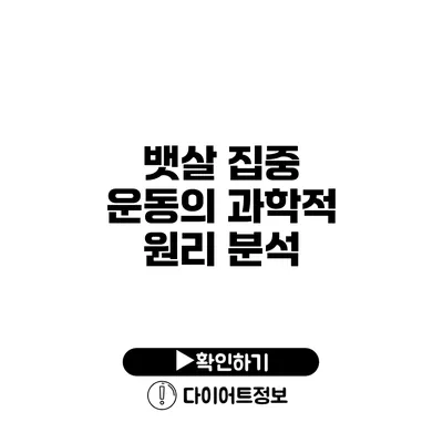 뱃살 집중 운동의 과학적 원리 분석